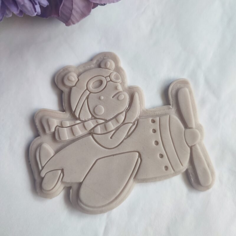 Bear on a plane