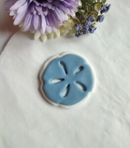 Sea sand dollar