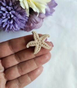 Mini starfish