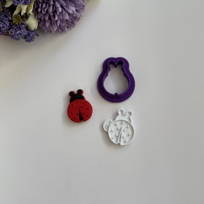 Mini ladybug
