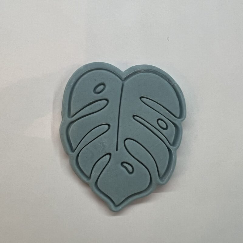 Monstera leaf