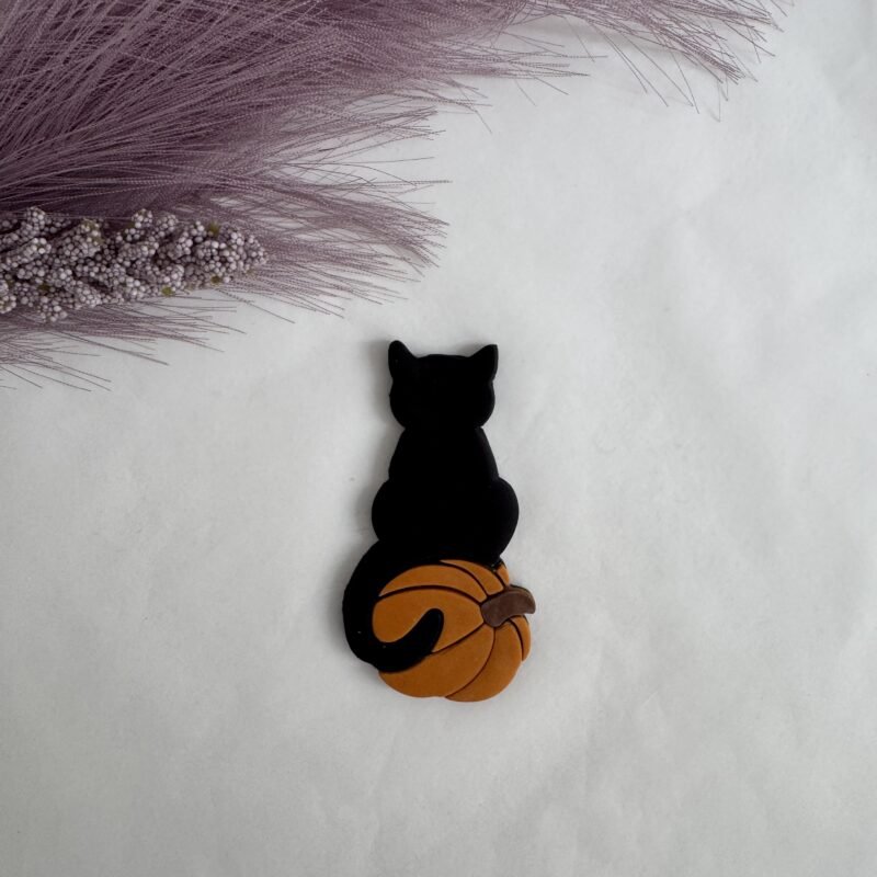 Cat on a pumpkin
